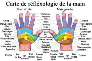 cartographie-zones-reflexes-palmaire