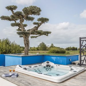 spa encastré avec terrasse et arbre taille